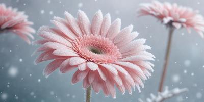 The primary subject of the image is a pink flower with a white center, surrounded by snowflakes. The flower is the focal point of the scene, and it is set against a backdrop of snowy, icy conditions. The visual style of the image is a combination of photo and digital art, creating a unique and captivating representation of the flower in its wintry environment. The dominant colors in the image are pink and white, with the snowflakes adding a touch of coldness and elegance to
