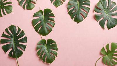 The image features a pink background with a row of green leaves hanging from it. The leaves are arranged in a way that they appear to be floating in the air. The leaves are large and have a distinctive shape, giving the scene a lush and vibrant appearance. The combination of the pink background and the green leaves creates a visually appealing and serene atmosphere.