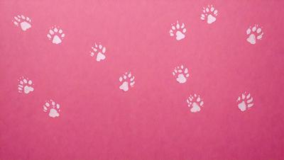 The primary subject of the image is a pink background with white paw prints on it. The setting is a pink wall, and the visual style is a combination of a photo and digital art. The dominant colors are pink and white, creating a warm and inviting atmosphere.