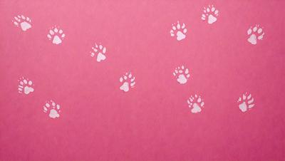 The primary subject of the image is a pink background with white paw prints on it. The setting is a pink wall, and the visual style is a combination of a photo and digital art. The dominant colors are pink and white, creating a warm and inviting atmosphere.