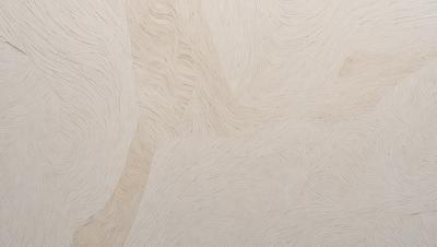 The primary subject of the image is a wooden surface with a unique and intricate pattern. The setting is a room with a wooden floor, and the visual style appears to be a combination of a photo and a digital art or illustration. The colors and mood of the image are predominantly brown and earthy, creating a warm and natural atmosphere.