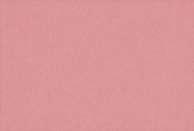 The primary subject of the image is a pink background. The setting is a blank, unadorned wall, which serves as the backdrop for the scene. The visual style is a close-up of the pink background, showcasing its color and texture. The colors and mood of the image are predominantly pink, creating a warm and inviting atmosphere.