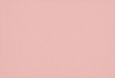 The primary subject of the image is a pink background. The setting is a blank, unadorned wall, which serves as the backdrop for the scene. The visual style is a close-up of the pink wall, showcasing its color and texture. The colors and mood of the image are predominantly pink, creating a warm and inviting atmosphere.