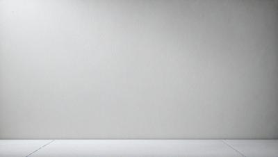 The primary subject of the image is a white wall. The setting is a plain, white room with a white wall. The visual style is a photo, and the colors and mood are predominantly white, giving the image a clean and minimalist appearance.