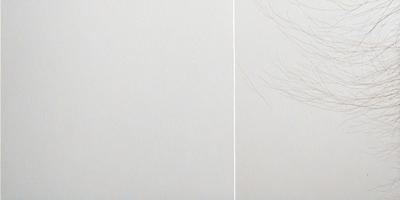 The primary subject of the image is a white wall with a tree branch drawing on it. The setting is a room with a white wall, and the visual style is a drawing or illustration. The colors and mood of the image are predominantly white, giving it a clean and minimalist appearance.