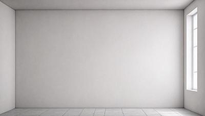 The primary subject of the image is a white wall. The setting is a room with a white wall, and the visual style is a photo. The colors and mood of the image are predominantly white, creating a clean and minimalist atmosphere.