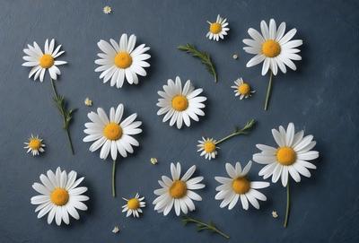 The primary subject of the image is a close-up of white flowers with yellow centers. The flowers are arranged in a visually appealing manner, creating a sense of harmony and beauty. The setting is a blue surface, which serves as a striking contrast to the white flowers. The visual style of the image is a combination of photo and digital art, resulting in a high-quality, detailed representation of the flowers. The colors and mood of the image are predominantly white and yellow, evoking a sense of freshness and