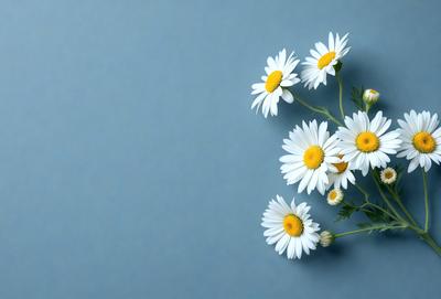 The primary subject of the image is a bouquet of white flowers, which are the main focus of the scene. The flowers are arranged in a vase and are placed against a blue background. The visual style of the image is a photo, capturing the beauty of the flowers in their natural setting. The colors and mood of the image are predominantly white and serene, creating a peaceful and calming atmosphere.