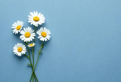 The primary subject of the image is a bouquet of white flowers, specifically daisies, with yellow centers. The flowers are arranged in a vase and are placed against a blue wall. The visual style of the image is a photo, capturing the beauty of the flowers and their surroundings. The colors and mood of the image are predominantly blue and white, creating a serene and calming atmosphere.