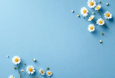 The primary subject of the image is a close-up of white flowers, with a blue background. The visual style appears to be a photo, as the flowers are in focus and the background is clear. The colors and mood of the image are predominantly white and blue, creating a calm and serene atmosphere.