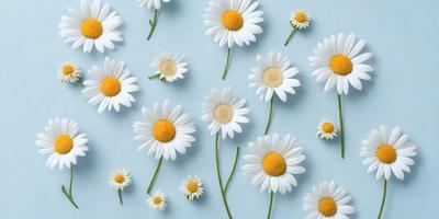 The primary subject of the image is a close-up of white flowers with yellow centers. The flowers are arranged in a pattern, creating a visually appealing scene. The setting is a blue background, which adds a contrasting color to the flowers. The visual style of the image is a combination of photo and digital art, as it captures the beauty of the flowers in a detailed and artistic manner. The dominant colors in the image are white and yellow, which evoke a sense of freshness and warmth.