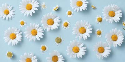 The primary subject of the image is a close-up of white flowers, with yellow centers, scattered across a blue background. The flowers are arranged in a pattern, creating a visually appealing and harmonious composition. The visual style of the image is a combination of photo and digital art, as it captures the beauty of the flowers in a realistic yet artistic manner. The colors and mood of the image are predominantly white and blue, with a touch of yellow, which gives the scene a calm and serene