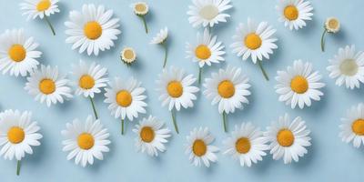 The primary subject of the image is a group of white flowers with yellow centers. These flowers are arranged in a visually appealing manner, creating a sense of harmony and beauty. The setting is a blue background, which adds a touch of elegance and contrast to the scene. The visual style of the image is a combination of photo and digital art, resulting in a high-quality and detailed representation of the flowers. The colors and mood of the image are predominantly white and yellow, which evoke feelings of warmth,