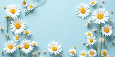 The primary subject of the image is a close-up of white flowers with yellow centers. The flowers are arranged in a visually appealing manner, creating a sense of harmony and beauty. The setting is a blue background, which adds a touch of elegance and sophistication to the scene. The visual style of the image is a combination of photo and digital art, resulting in a high-quality, detailed, and artistic representation of the flowers. The colors and mood of the image are predominantly white and yellow
