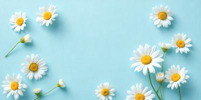 The primary subject of the image is a close-up of white flowers, with a blue background. The flowers are arranged in a visually appealing manner, creating a sense of depth and dimension. The visual style of the image is a combination of photo and digital art, as it captures the beauty of the flowers in a realistic yet artistic manner. The colors and mood of the image are predominantly white and blue, giving it a calm and serene atmosphere.