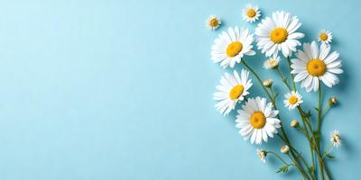 The primary subject of the image is a close-up of a white flower with yellow centers. The flower is placed on a blue background, which creates a striking contrast between the white and blue colors. The visual style of the image is a combination of photo and digital art, as it appears to be a real flower photographed and then digitally manipulated to create a more artistic and visually appealing composition. The overall atmosphere of the image is serene and calming, with the white flower symbolizing purity and innocence.