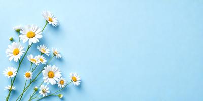 The primary subject of the image is a close-up of a flower, specifically a white daisy, with its petals and stamen visible. The flower is placed against a blue background, which adds a sense of depth and contrast to the image. The visual style of the image is a photo, capturing the details and beauty of the flower. The colors and mood of the image are predominantly white and blue, creating a serene and calming atmosphere.