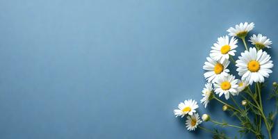 The primary subject of the image is a bouquet of white flowers, which are the main focus of the scene. The flowers are placed against a blue background, creating a visually appealing contrast. The visual style of the image is a photo, capturing the beauty of the flowers in their natural setting. The colors and mood of the image are predominantly white and blue, giving it a calm and serene atmosphere.
