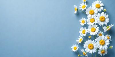 The primary subject of the image is a bouquet of white flowers, specifically daisies, arranged in a visually appealing manner. The flowers are placed against a blue wall, which serves as the setting or background. The visual style of the image is a close-up of the flowers, showcasing their details and beauty. The colors and mood of the image are predominantly white and bright, creating a sense of freshness and positivity.