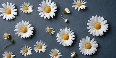 The primary subject of the image is a close-up of a white flower with a yellow center. The flower is placed on a blue surface, which serves as the background. The visual style of the image is a close-up of the flower, showcasing its details. The dominant colors in the image are white and yellow, creating a bright and cheerful atmosphere.