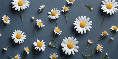The primary subject of the image is a close-up of white flowers with yellow centers. The flowers are arranged in a visually appealing manner, creating a sense of harmony and beauty. The setting is a blue surface, which serves as a striking contrast to the white flowers. The visual style of the image is a combination of photo and digital art, resulting in a high-quality and detailed representation of the flowers. The colors and mood of the image are predominantly white and yellow, evoking a sense of freshness and