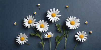 The primary subject of the image is a group of white flowers with yellow centers. They are arranged in a visually appealing manner, creating a sense of harmony and beauty. The flowers are placed against a blue background, which adds a touch of color and contrast to the scene. The visual style of the image is a combination of photo and digital art, resulting in a realistic yet artistic representation of the flowers. The colors and mood of the image are predominantly white and yellow, giving it a warm and inviting atmosphere
