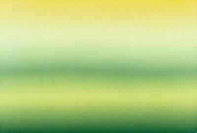 The primary subject of the image is a green and yellow striped pattern. The setting is a wall, and the visual style appears to be a digital art or illustration. The dominant colors in the image are green and yellow, creating a vibrant and lively atmosphere.