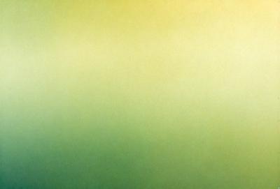 The primary subject of the image is a large, brightly colored wall. The setting is a room with a green wall, and the visual style is a photo. The dominant colors in the image are green and yellow, creating a vibrant and lively atmosphere.