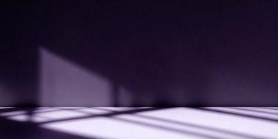The primary subject of the image is a wall with a shadow cast on it. The setting is a dark room, and the visual style appears to be a photo. The dominant colors are purple and black, creating a moody atmosphere.