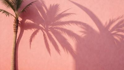 The primary subject of the image is a large palm tree casting a shadow on a pink wall. The setting is a beach, with the backdrop being the pink wall. The visual style is a photo, capturing the natural beauty of the palm tree and its shadow. The colors and mood of the image are predominantly pink, creating a warm and inviting atmosphere.