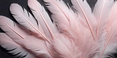 The primary subject of the image is a close-up of a pink feather. The setting is a black background, which provides a stark contrast to the pink feather. The visual style is a realistic representation of the feather, showcasing its texture and details. The colors and mood of the image are predominantly pink, creating a soft and delicate atmosphere.