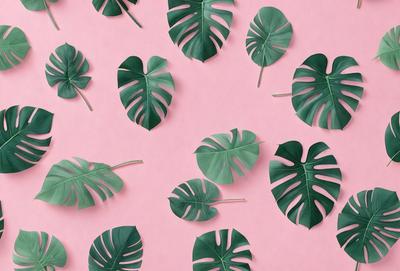 The image features a pattern of green leaves on a pink background. The leaves are arranged in various shapes and sizes, creating a visually appealing and artistic display. The primary subject of the image is the green leaves, which are the main focus and the primary subject of the image. The setting is a pink background, which provides a contrasting and complementary color to the green leaves. The visual style of the image is a combination of photo and digital art, as it appears to be a photograph of a digital artwork. The
