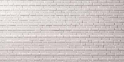 The primary subject of the image is a white brick wall. The setting is a plain white wall, with no visible backdrop or environment. The visual style is a photo, showcasing the brick wall in detail. The colors and mood of the image are predominantly white, giving it a clean and minimalist appearance.