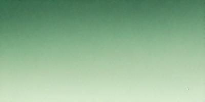 The primary subject of the image is a large, empty, and brightly lit room with a green background. The room appears to be a large, open space with no visible furniture or objects. The visual style of the image is a photo, capturing the room's emptiness and the green color of the background. The colors and mood of the image are predominantly green, creating a calm and serene atmosphere.
