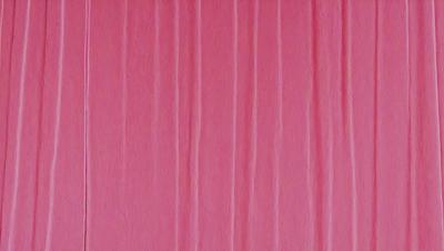 The primary subject of the image is a pink wall with a patterned texture. The setting is a room with a pink wall, and the visual style is a close-up of the wall. The dominant colors are pink and white, creating a warm and inviting atmosphere.