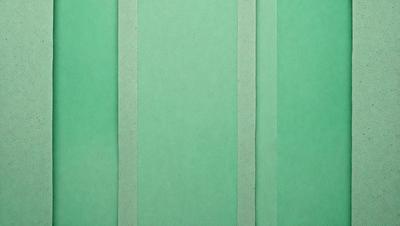 The primary subject of the image is a green background with a white border. The setting is a green wall, and the visual style is a photo. The colors and mood of the image are predominantly green, creating a calm and soothing atmosphere.