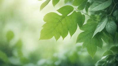 The primary subject of the image is a leaf, which is the main object, scene, or focus of the image. The leaf is green and is situated in a setting with a background of green leaves. The visual style of the image is a photo, capturing the natural beauty of the leaf. The colors and mood of the image are predominantly green, creating a serene and natural atmosphere.
