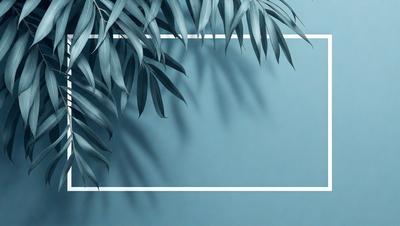 The primary subject of the image is a palm tree, which is prominently featured in the foreground. The setting is a blue wall, which serves as the background for the palm tree. The visual style of the image is a photo, capturing the natural beauty of the palm tree. The dominant colors in the image are blue and green, creating a serene and calming atmosphere.