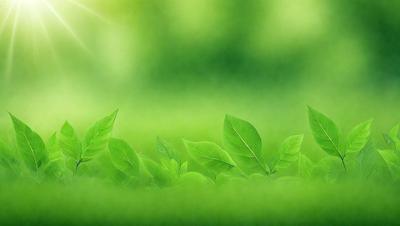 The primary subject of the image is a group of green leaves, which are the main objects in the scene. The leaves are situated on a lush green background, creating a vibrant and natural atmosphere. The visual style of the image is a photo, capturing the beauty of the leaves in their natural environment. The colors and mood of the image are predominantly green, reflecting the freshness and vitality of the leaves.