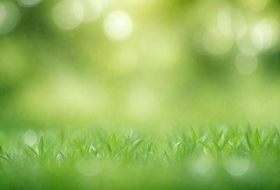 The image features a lush green field with a bright sun shining through the trees. The sunlight creates a warm and inviting atmosphere. The primary subject is the grassy field, which is the main focus of the image. The setting is a natural environment with trees and sunlight, creating a serene and peaceful scene. The visual style is a photo, capturing the beauty of the natural landscape. The colors and mood are predominantly green, with the sunlight adding a touch of warmth and brightness to the