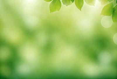The primary subject of the image is a leaf, which is prominently displayed in the foreground. The leaf is green and appears to be a close-up of a tree branch. The setting is a lush green field, which provides a natural and serene backdrop for the leaf. The visual style of the image is a close-up of a leaf, showcasing its details and texture. The colors and mood of the image are predominantly green, creating a sense of tranquility and connection to nature.