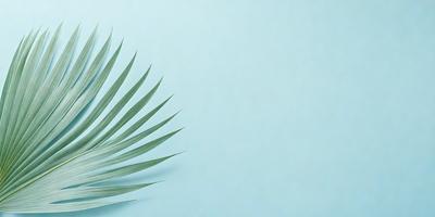 The image features a close-up of a green palm leaf, which is the primary subject. The leaf is placed on a blue background, creating a visually appealing contrast. The visual style of the image is a photo, capturing the intricate details of the palm leaf. The colors and mood of the image are predominantly green and blue, giving it a calm and serene atmosphere.