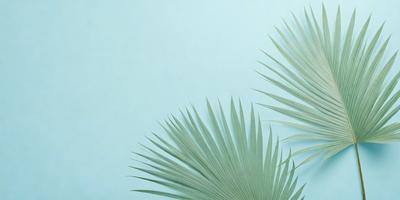 The primary subject of the image is a close-up of a palm tree. The setting is a blue wall, which serves as the background. The visual style is a photo, capturing the details of the palm tree. The dominant colors are green and blue, creating a calm and serene atmosphere.
