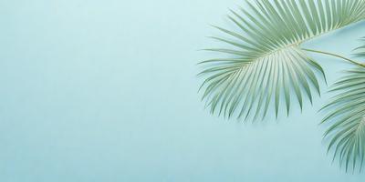 The primary subject of the image is a large palm tree, which is prominently displayed in the foreground. The setting is a blue wall, which serves as the background for the palm tree. The visual style of the image is a photo, capturing the natural beauty of the palm tree. The colors in the image are predominantly blue, creating a calm and serene atmosphere.