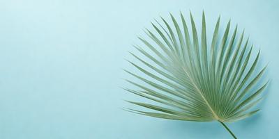 The primary subject of the image is a large, green palm leaf. The leaf is prominently displayed against a blue background, which creates a striking contrast. The visual style of the image is a close-up, which emphasizes the details of the palm leaf. The colors and mood of the image are predominantly blue and green, giving it a calm and serene atmosphere.