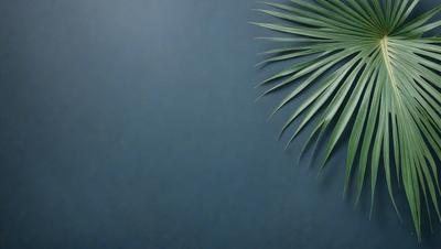 The primary subject of the image is a large green palm leaf. The setting is a blue wall, which serves as the background. The visual style is a close-up of the palm leaf, showcasing its details. The colors and mood of the image are predominantly green, with a touch of blue from the wall, creating a serene and natural atmosphere.