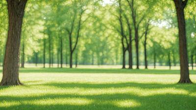 The primary subject of the image is a lush green field with a row of trees in the background. The setting is a park or a grassy area with a serene atmosphere. The visual style is a photo, capturing the natural beauty of the scene. The dominant colors are green, which represents the grass and trees, and the overall mood is calm and peaceful.