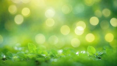 The image features a lush green field with a variety of green leaves scattered throughout the scene. The primary subject is the vibrant greenery, which creates a serene and natural atmosphere. The setting is an outdoor environment, possibly a forest or a park, with the leaves providing a sense of depth and texture. The visual style is a close-up of the greenery, emphasizing the details and colors of the leaves. The colors and mood of the image are predominantly green, conveying a sense of tranqu
