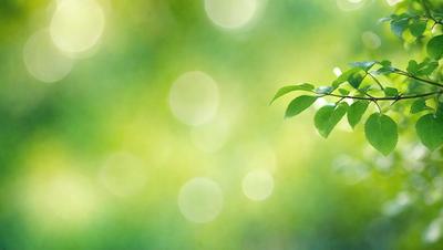 The primary subject of the image is a leaf, which is the main object, scene, or focus of the image. The leaf is situated in a green, sunny environment, with a bright and lively atmosphere. The visual style of the image is a photo, capturing the natural beauty of the leaf in its surroundings. The colors and mood of the image are predominantly green, with a sense of freshness and vitality.