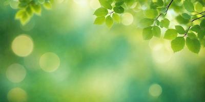 The primary subject of the image is a leafy green tree. The setting is a bright, sunny day with a clear sky. The visual style is a photo of the tree, capturing its natural beauty. The colors and mood of the image are lively and vibrant, with the green tree being the main focus.